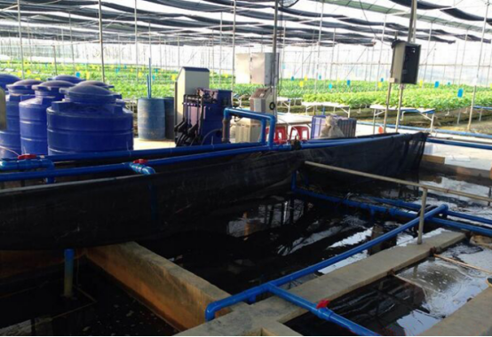 1636092695743946.png image.png